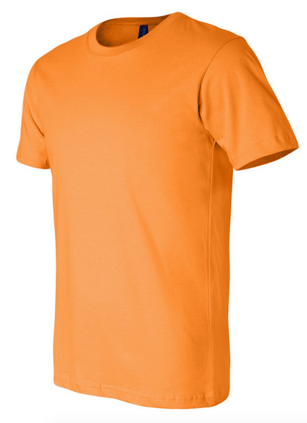 Bella + Canvas Unisex Short Sleeve Jersey Tee 3001